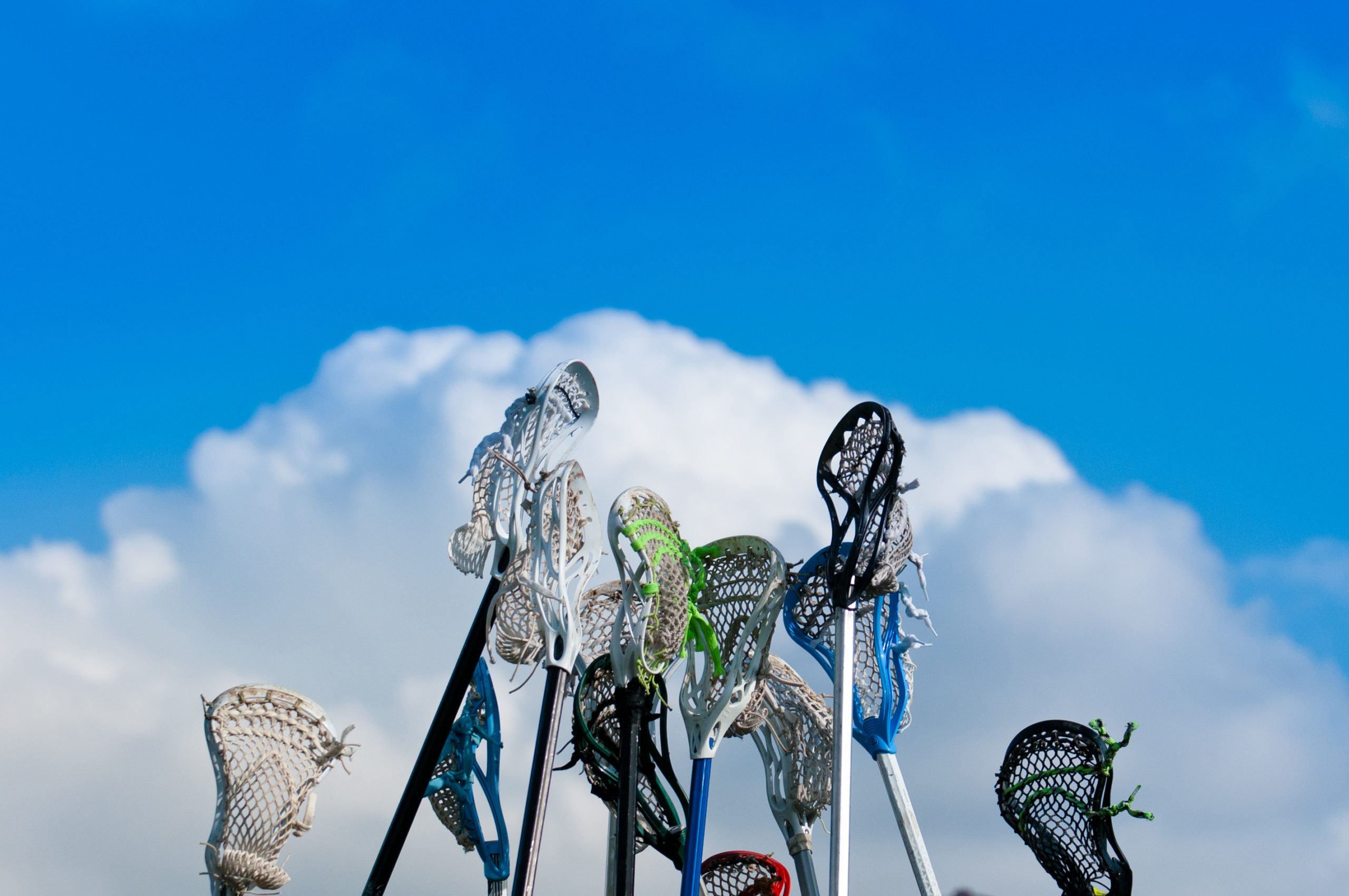 Many lacrosse sticks and heads held high in sky